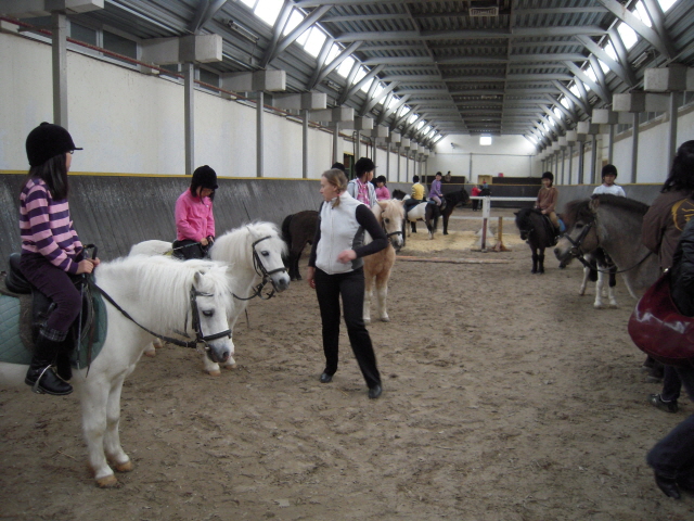 �¸�ü���н�