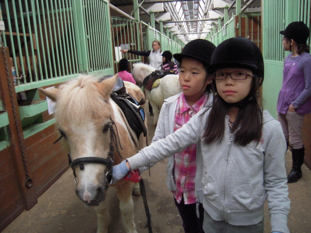 ���� Ż �� ã�ư���