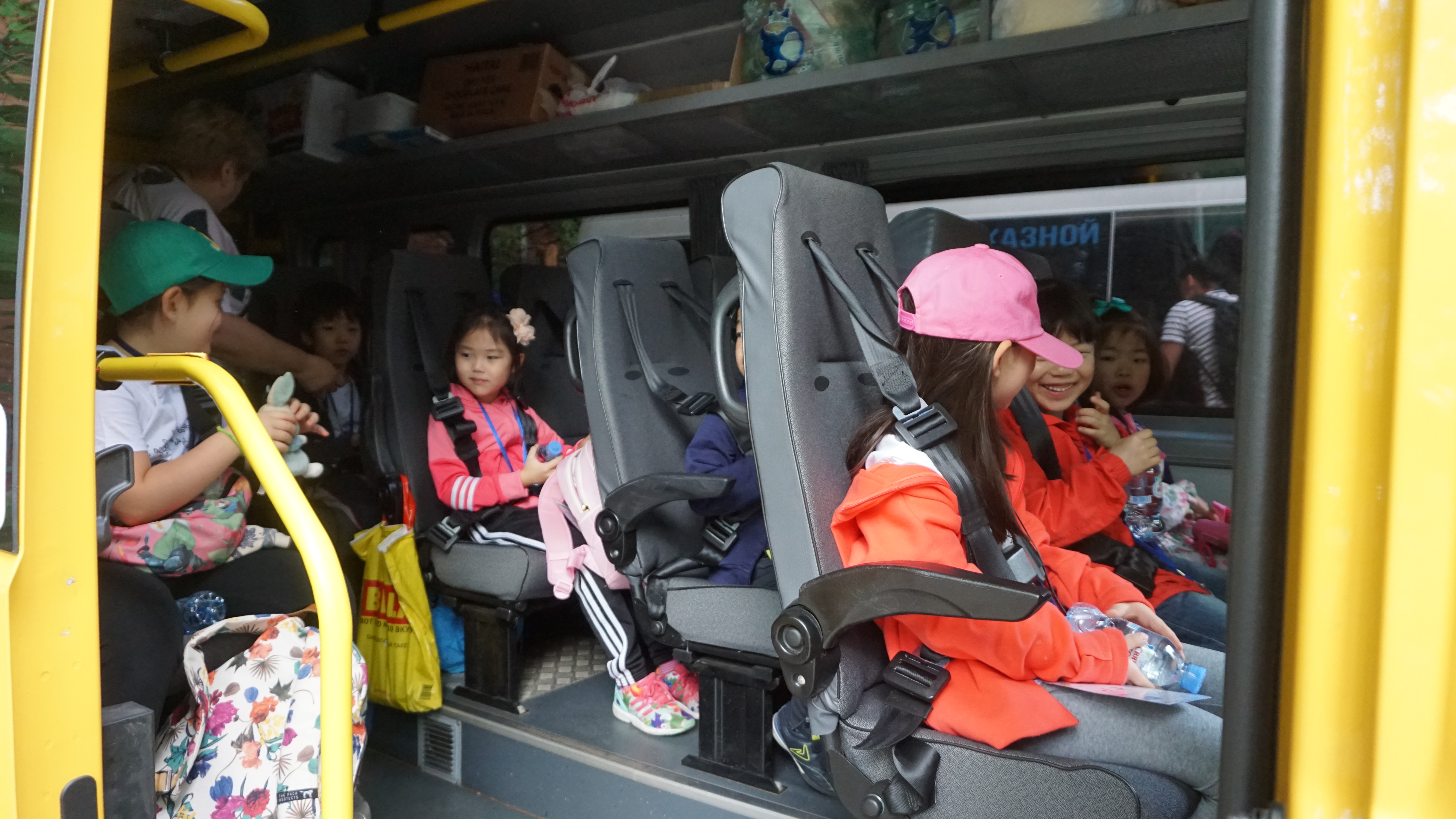 ������ ����