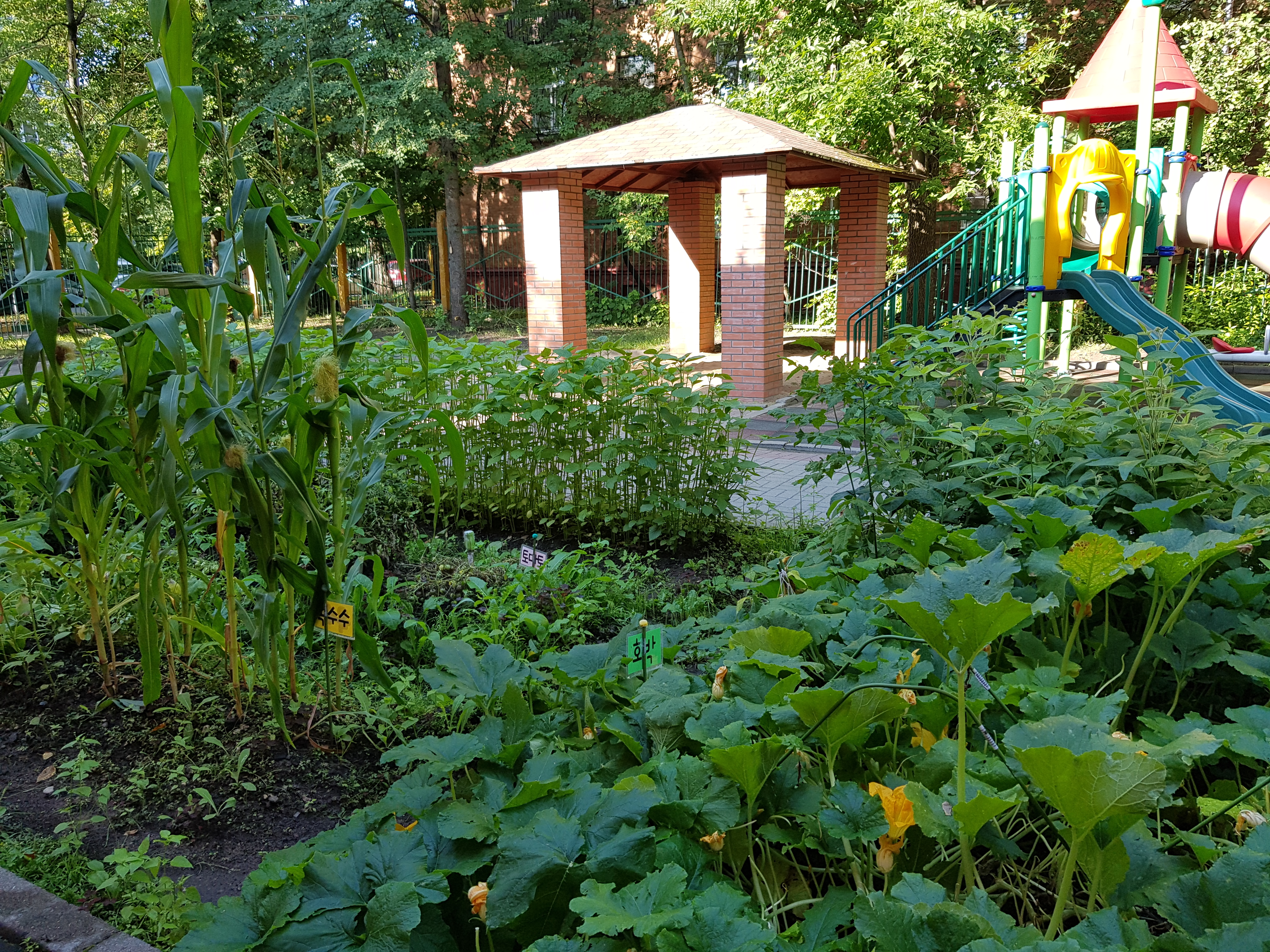 .�Թ翡�� ȣ��, ����, ������, ����, �丶��, ����...�ǰ��ϰ� �ڶ�� �ִ�ϴ�~^^