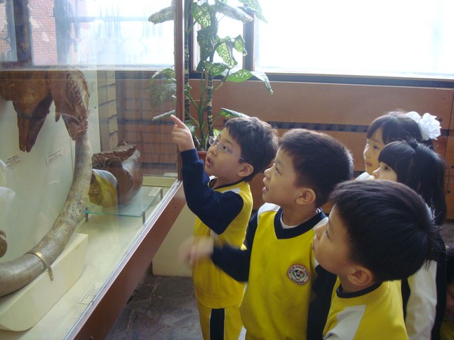 ����ȭ���ڹ���