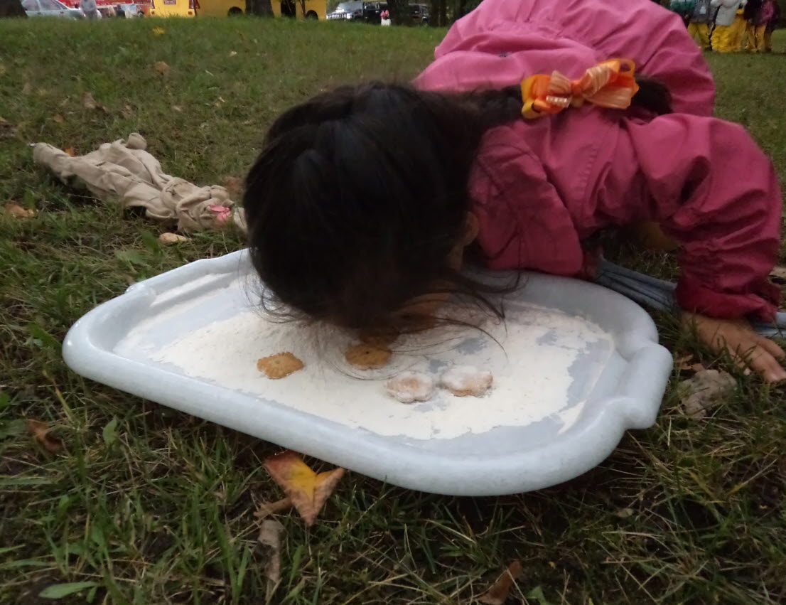 �����н�5