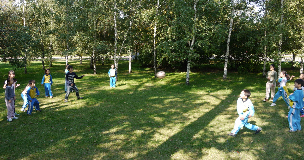 �����н�2