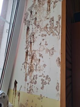 2021. ��ġ�� ���� �� 6�г� ���� ���� ��ü... ÷���̹���