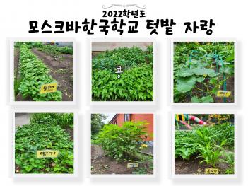 ��ũ���ѱ��б� �Թ� �ڶ�  ÷���̹���